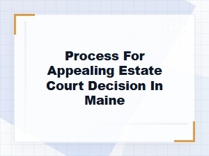 Maine Estate Court Appeal Options